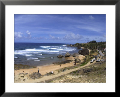 Flax by Bruce Ando Pricing Limited Edition Print image