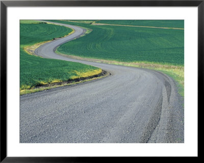 Curved Roadway In Wheat Field, Eastern Washington, Usa by Darrell Gulin Pricing Limited Edition Print image