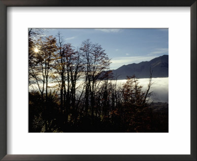 Sunrise On The Lower Slopes Of Cerro Catedral, Bariloche, Argentina, South America by Mark Chivers Pricing Limited Edition Print image