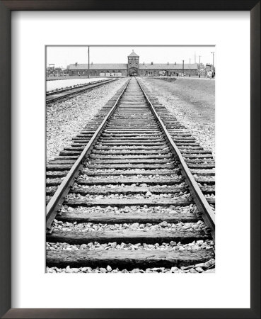 View Of Birkenau Entrance And Railway Line That Brought Prisoners In, Poland by David Clapp Pricing Limited Edition Print image