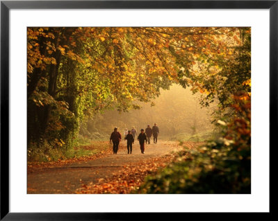 Walkers Among Trees In Autumn Foliage, Seattle, U.S.A. by Ann Cecil Pricing Limited Edition Print image
