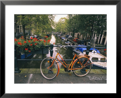 The Keizersgracht Canal, With Potted Flowers And A Bicycle In The Foreground by Richard Nowitz Pricing Limited Edition Print image