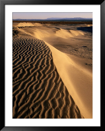 Beach Dune, Bahia De Santa Maria, San Quintin, Mexico by John Elk Iii Pricing Limited Edition Print image
