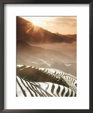 June Sunrise, Longsheng Terraced Ricefields, Guangxi Province, China, Asia by Angelo Cavalli Pricing Limited Edition Print image