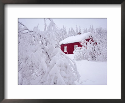 Nordmarka, Oslo, Norway, Scandinavia, Europe by Kim Hart Pricing Limited Edition Print image