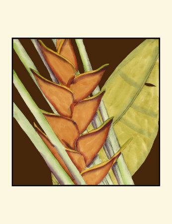 Striking Tropical Iv by Jennifer Goldberger Pricing Limited Edition Print image