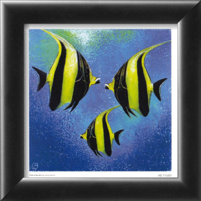 Fish A Go Go I by Jenny Morton Pricing Limited Edition Print image