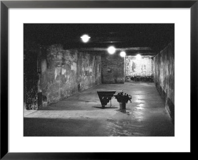 Main Gas Chamber With Memorial, Auschwitz, Poland by David Clapp Pricing Limited Edition Print image