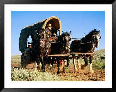 Mormon Man Driving Horse Carriage, Mormon Pioneer Wagon Train To Utah, Near South Pass, Wyoming by Holger Leue Pricing Limited Edition Print image