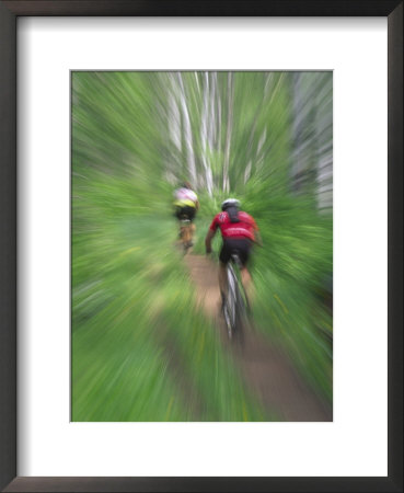 Zoom Effect Of Mountain Bike Racers On Trail In Aspen Forest, Methow Valley, Washington, Usa by Steve Satushek Pricing Limited Edition Print image