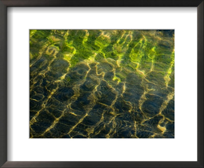 Light Shining On The Surface Of The Water Rippling In The Wind, Groton, Connecticut by Todd Gipstein Pricing Limited Edition Print image