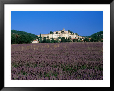 Lavender Field Below Village, Banon, Provence-Alpes-Cote D'azur, France by David Tomlinson Pricing Limited Edition Print image