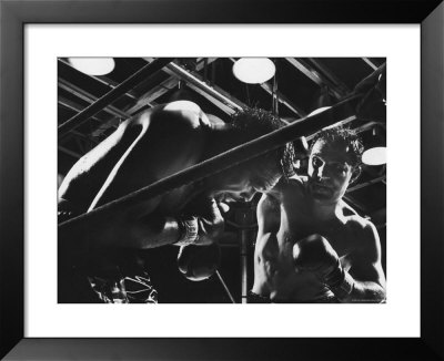 Heavyweight Champion Rocky Marciano Pounding Dazed Archie Moore Near End Of Fight by Grey Villet Pricing Limited Edition Print image
