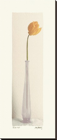 Yellow Tulip by Judy Mandolf Pricing Limited Edition Print image