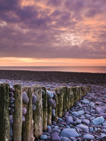 Weathered Groyne And Pebbles At Bossington Beach, Exmoor Np, Somerset, Uk by Adam Burton Pricing Limited Edition Print image
