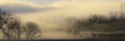 Road In Fog by Bob Cornelis Pricing Limited Edition Print image