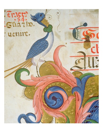 Fantastical Bird With Human Head Standing On Corner Of An Historiated Initial, Detail Of Choir Book by Filippo Di Matteo Torelli Pricing Limited Edition Print image