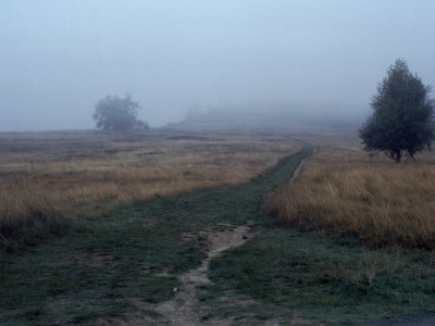 Pathway On A Foggy Day by Images Monsoon Pricing Limited Edition Print image