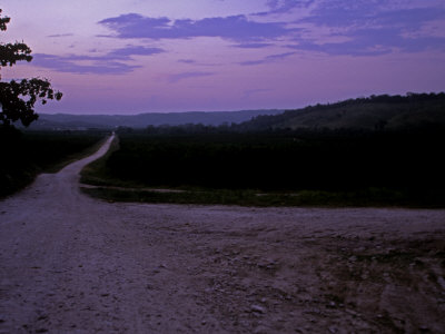 Road To Barton Creek At Sunset by Stephen Alvarez Pricing Limited Edition Print image