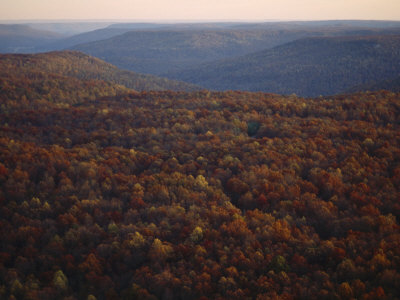Aerial View In The Fall Shows The Cumberland Plateau Of Tennessee by Stephen Alvarez Pricing Limited Edition Print image