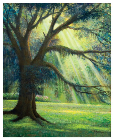 Sunlit Garden by Jerrie Glasper Pricing Limited Edition Print image