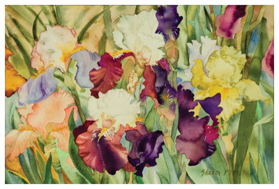 Elegant Irises by Sharon Pitts Pricing Limited Edition Print image