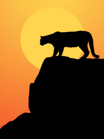 Mountain Lion In Silhouette On The Rocks At Sunset by Scott Stulberg Pricing Limited Edition Print image