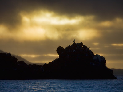 Galapagos Sunset by Scott Stulberg Pricing Limited Edition Print image