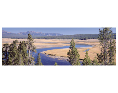 Hayden Valley, Yellowstone by Danny Burk Pricing Limited Edition Print image
