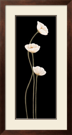 Poppies On Black by Maria Girardi Pricing Limited Edition Print image