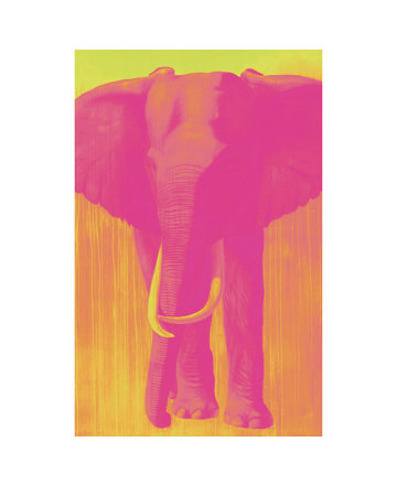 Pink Timba by Thierry Bisch Pricing Limited Edition Print image