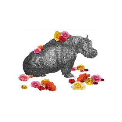 Hippo by John Murphy Pricing Limited Edition Print image