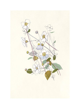 Anemones by Hannah Pontin Pricing Limited Edition Print image