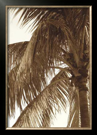 Palm Tree Ii by Rene Griffith Pricing Limited Edition Print image