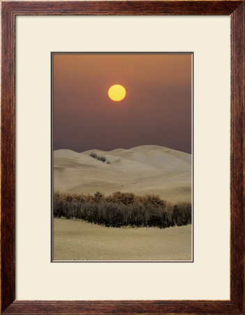 Imaginary Landscape, Tuscany by Franco Fontana Pricing Limited Edition Print image