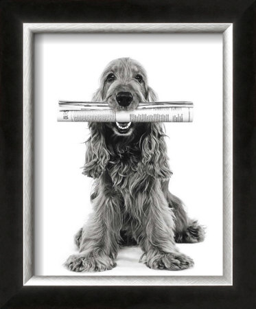 Dog News by Jean-Michel Labat Pricing Limited Edition Print image