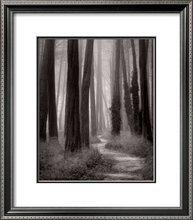 Winding Path, San Francisco by William Scott Pricing Limited Edition Print image