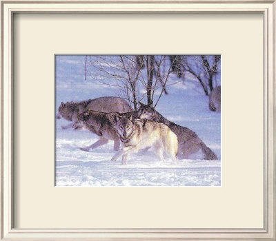 Wolf Pack Hunt by Tom Brakefield Pricing Limited Edition Print image