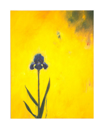 Yellow Iris by Joseph Jackino Pricing Limited Edition Print image