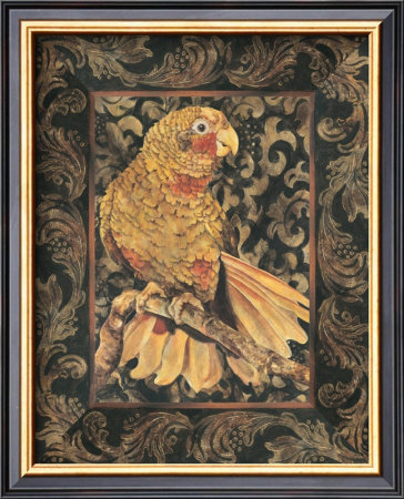 Golden Parrot I by Dwight Wood Pricing Limited Edition Print image