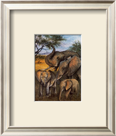 Circle Of Life I by Dianne Krumel Pricing Limited Edition Print image