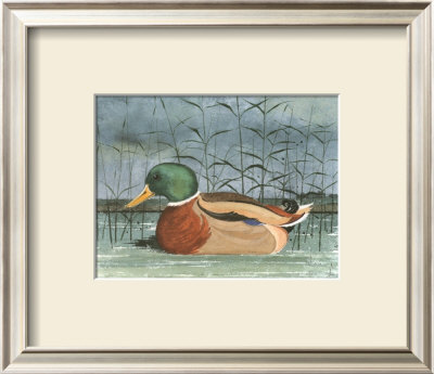 Blue Duck Ii by Franz Heigl Pricing Limited Edition Print image