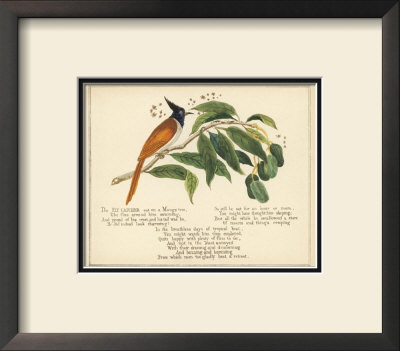 Fly Catcher Verse by Nathaniel Tweet Pricing Limited Edition Print image
