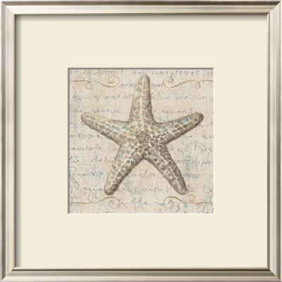 Coastal Beauty Ii by Lisa Audit Pricing Limited Edition Print image