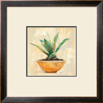 Aloe by Laurence David Pricing Limited Edition Print image