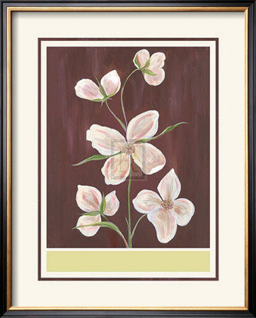 Clematis I by Anne Gerarts Pricing Limited Edition Print image
