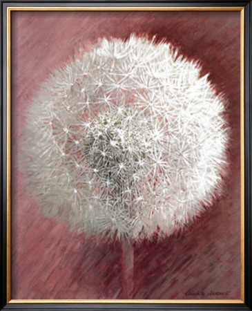 Dandelion Clock Ii by Elisabeth Verdonck Pricing Limited Edition Print image