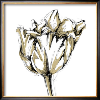 Tulip Sketch I by Ethan Harper Pricing Limited Edition Print image