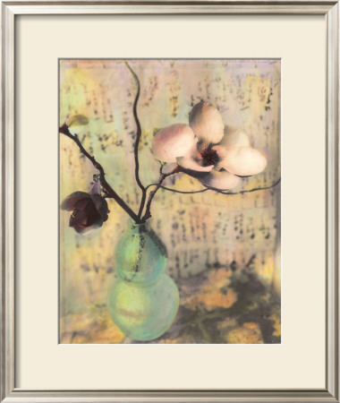 Magnolia Blossoms by Susan Friedman Pricing Limited Edition Print image