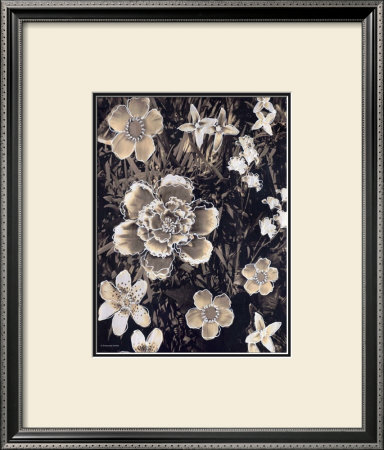 Sepia Floral I by Francine Funke Pricing Limited Edition Print image